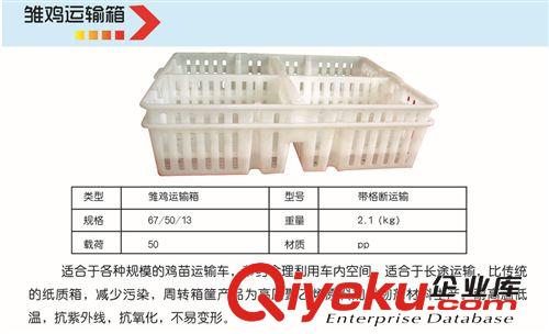 批發周轉箱 雞周轉箱 雛雞箱雞苗箱  雛雞周轉箱