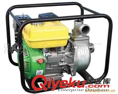 Gasoline engine pumps ,Water pump