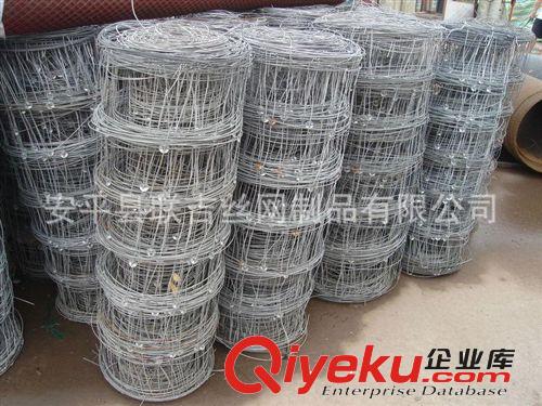 聯(lián)吉絲網(wǎng)專業(yè)生產(chǎn) 牛欄網(wǎng) 草原網(wǎng) 價格便宜質(zhì)量{zh0}