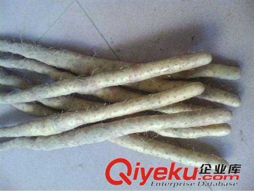 白山藥放心農(nóng)產(chǎn)品，小白嘴白山藥