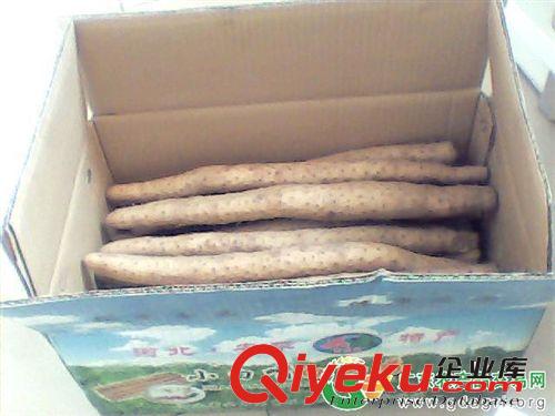 建筑網片 廠家直銷 焊接鐵絲網