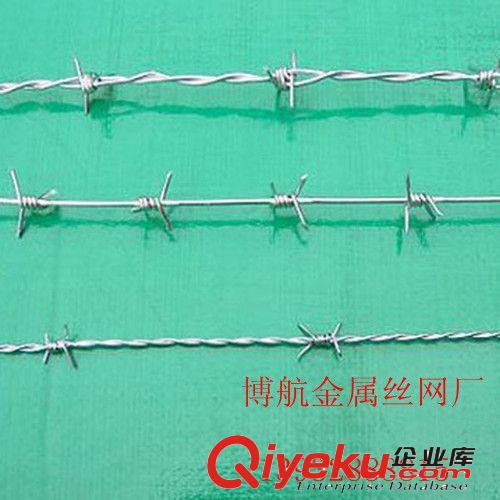 福建廈門 供應秦皇島刀片刺繩網{zx1}產品價格 量大從優 安平博航
