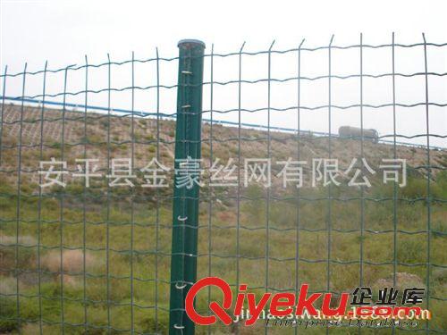 廠家直銷 現貨 優質低碳 黑絲荷蘭網 養殖防護網（可加工定做）原始圖片2