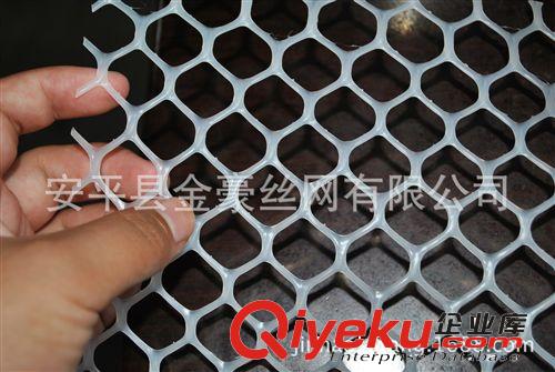 熱銷1cm孔雞腳踩網(wǎng) | 養(yǎng)雞塑料網(wǎng) | 六角塑料平網(wǎng) 養(yǎng)殖網(wǎng)原始圖片3