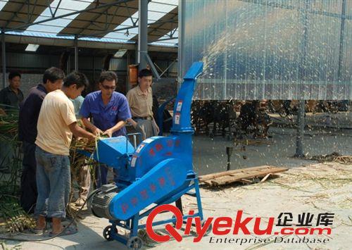 廠(chǎng)家銷(xiāo)售小型鍘草機(jī)，青貯鍘草機(jī)，鍘草粉碎機(jī)
