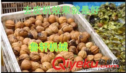 山東核桃扒皮機 山青核桃去皮機 曲阜新型脫皮設(shè)備原始圖片2