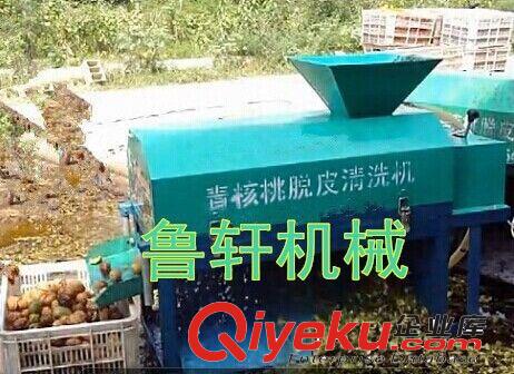 {zx1}產品核桃去皮機報價 新型青核桃去皮清洗機圖片