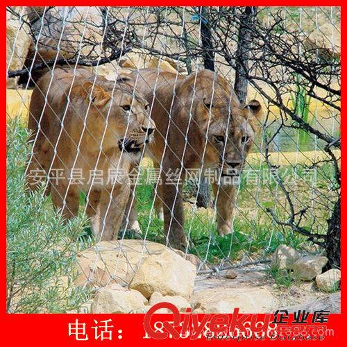 動(dòng)物園用柔性鋼絲繩網(wǎng)生產(chǎn)廠家