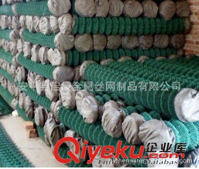 勾花網 包塑勾花網 體育場圍網生產廠家原始圖片2