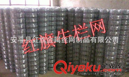 紅旗現貨供應8-15-50熱鍍鋅牛欄網，養羊網原始圖片3
