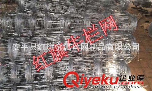 紅旗牛欄網(wǎng)廠 出口規(guī)格12-1.2-15-100牛欄網(wǎng)原始圖片3