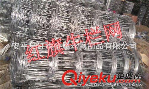 紅旗現(xiàn)貨供應(yīng)熱鍍鋅 鋼絲牛欄網(wǎng) 草原網(wǎng)