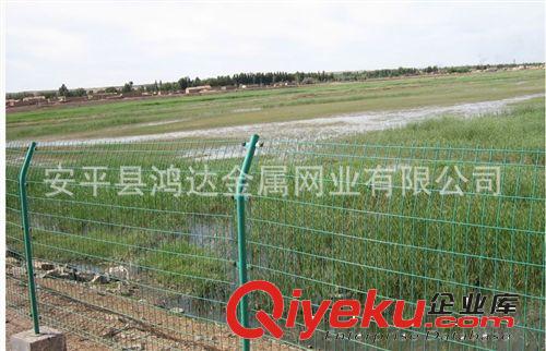 雙邊護(hù)欄網(wǎng) 大量出售 廠(chǎng)家直銷(xiāo)如期交貨  價(jià)格優(yōu)惠原始圖片2