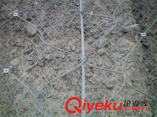 廠家誠(chéng)信銷售，邊坡防護(hù)網(wǎng)， 鋼絲繩網(wǎng)