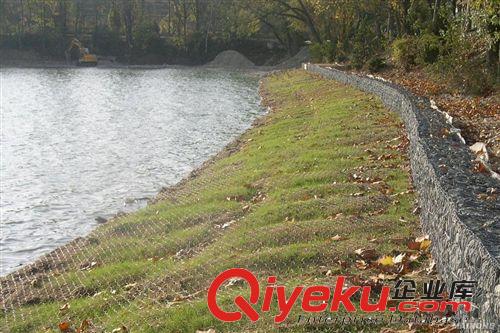 廠家直銷(xiāo)各種規(guī)格邊坡防護(hù)網(wǎng)原始圖片2