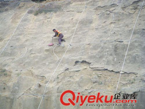 廠家直銷(xiāo)各種規(guī)格邊坡防護(hù)網(wǎng)原始圖片3