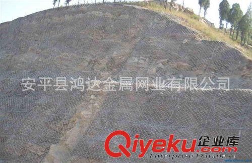 廠家直銷(xiāo)各種規(guī)格邊坡防護(hù)網(wǎng)