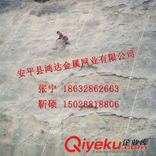 廠家供應SNS邊坡防護網 護欄網原始圖片2