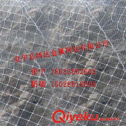 大量供應(yīng)邊坡防護(hù)網(wǎng) 主動(dòng)防護(hù)網(wǎng)原始圖片2