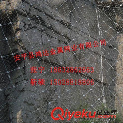 大量供應(yīng)邊坡防護(hù)網(wǎng) 主動(dòng)防護(hù)網(wǎng)原始圖片3
