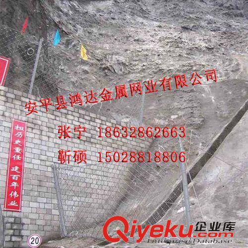 (廠家直銷）供應SNS邊坡防護網