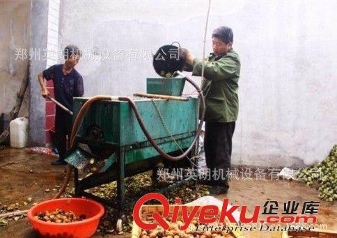 批發小型青皮核桃脫皮機 青核桃去皮機 節能型青皮核桃剝殼機