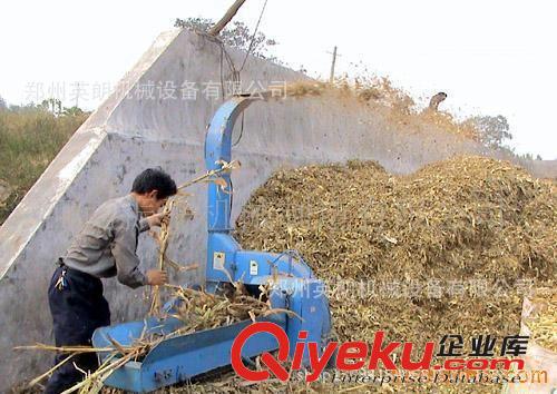 畜牧養(yǎng)殖業(yè) 小型鍘草機(jī) 干濕秸稈切碎機(jī) 切草機(jī)廠家直銷原始圖片3