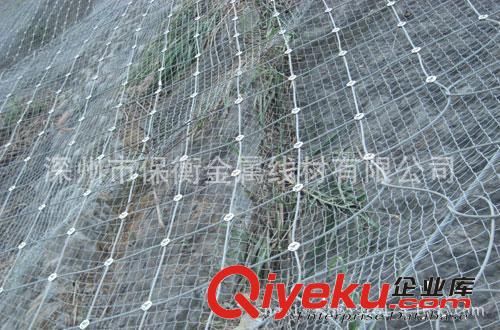 廣東{zd0}主動(dòng)柔性防護(hù)攔石菱形網(wǎng)供貨商原始圖片2