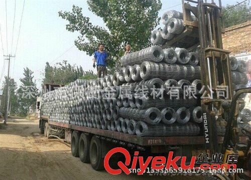 湖北武漢羊圈一般采什么網做圍墻？原始圖片2