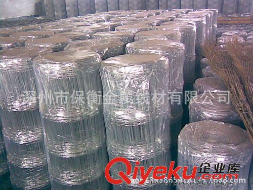 包頭廠家暢銷畜牧養殖羊草原圍網！