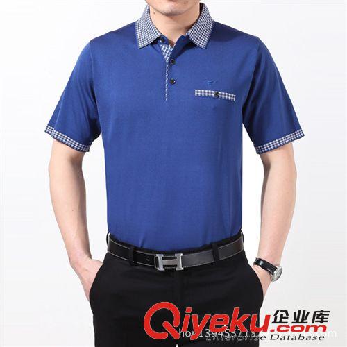2014新款品牌男式短袖 翻領(lǐng)POLO襯男 桑蠶絲男款廠家批發(fā)原始圖片2