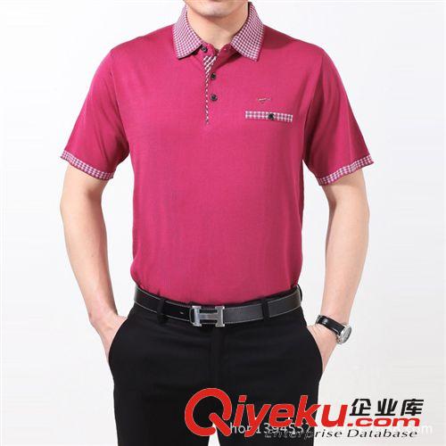 2014新款品牌男式短袖 翻領(lǐng)POLO襯男 桑蠶絲男款廠家批發(fā)原始圖片3