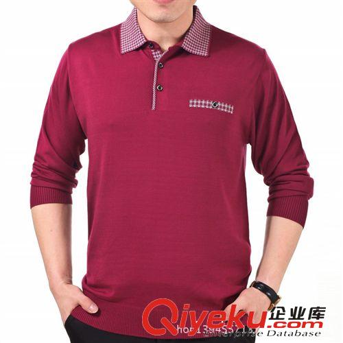 常熟品牌男裝男式翻領長袖t恤時尚休閑百搭款廠家批發原始圖片3