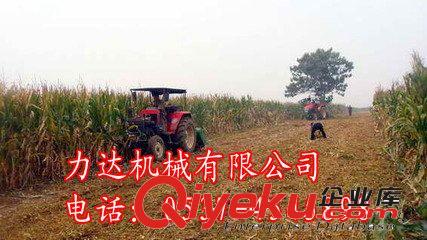 宏偉區(qū)多功能秸稈還田機(jī)廠家地址？棉桿還田機(jī)*玉米秸稈還田機(jī)~原始圖片3