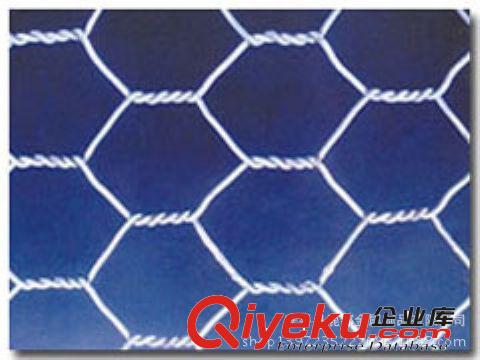 湖南鉛絲網(wǎng)兜價(jià)格  湖南鉛絲網(wǎng)兜{zx1}供應(yīng)信息