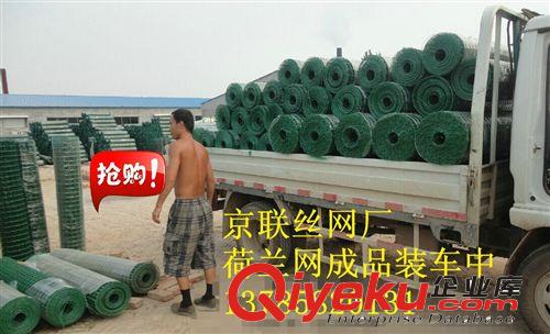 廠價(jià)直銷 鐵絲網(wǎng)/養(yǎng)殖網(wǎng)/護(hù)欄網(wǎng)/荷蘭網(wǎng)價(jià)格/荷蘭網(wǎng)廠