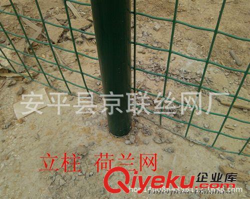 廠價直銷 鐵絲網(wǎng)/養(yǎng)殖荷蘭網(wǎng)/圍欄網(wǎng)/荷蘭網(wǎng)批發(fā)原始圖片3