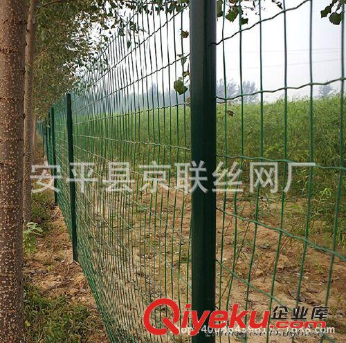 河南養雞專用荷蘭網  鐵絲圍欄   圈地網 京聯廠家直接供應原始圖片2