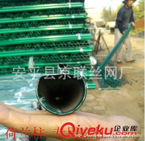河南養雞專用荷蘭網  鐵絲圍欄   圈地網 京聯廠家直接供應原始圖片3
