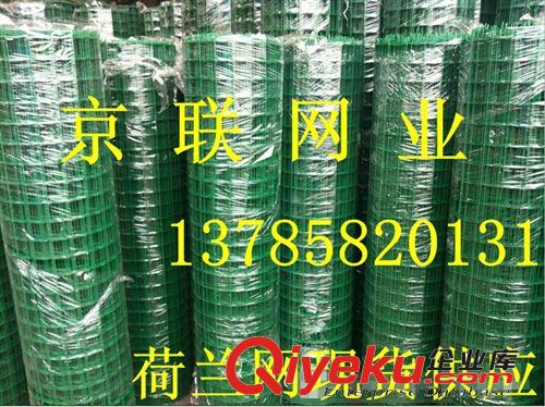 河南養雞專用荷蘭網  鐵絲圍欄   圈地網 京聯廠家直接供應