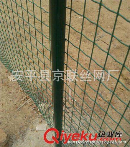山雞養殖圍網防護網、荷蘭網、護欄網、養殖野兔圍欄網、鐵絲護網