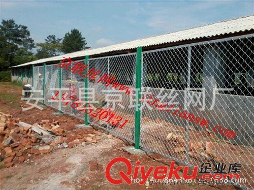 廠家直銷美格網 方孔網 熱鍍鋅焊接網 質優價廉 防盜網原始圖片3