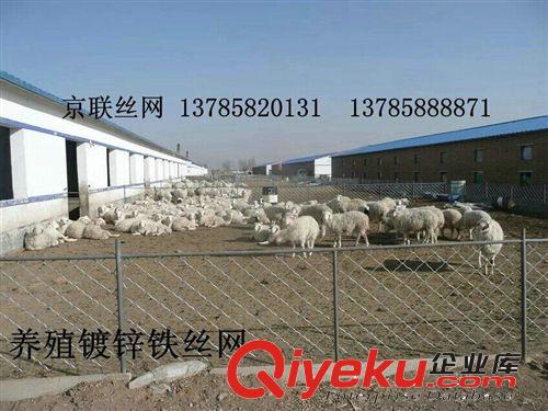 廠家供應美格網防護欄、隔離防護網、畜牧養殖用美格網價格低廉原始圖片2