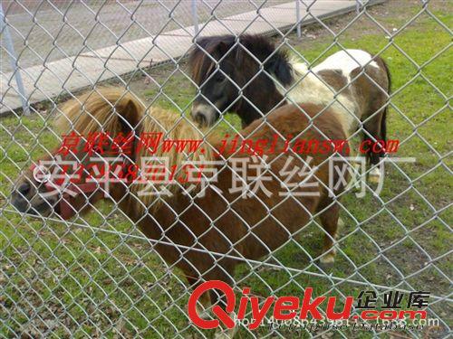 【加工定制】動物園防護(hù)網(wǎng)、圍孔雀勾花網(wǎng)、包塑勾花網(wǎng)、規(guī)格齊全