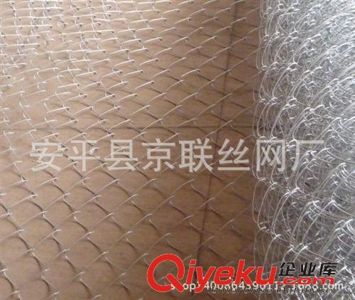 現貨供應勾花護欄網 圍墻網 防護網 隔離網