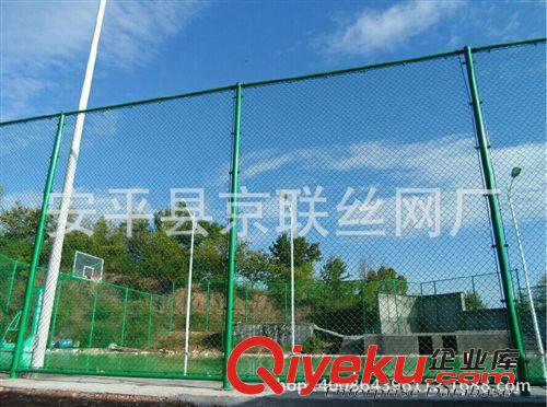 現貨供應勾花護欄網 圍墻網 防護網 隔離網原始圖片2