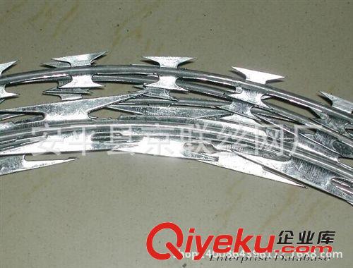 生產(chǎn)廠家 刺鐵絲 鐵絲網(wǎng)刺繩平面刀片刺繩，螺旋型刀片刺網(wǎng)原始圖片3