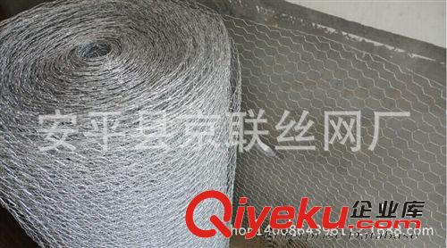 雞籠網(wǎng) 養(yǎng)殖網(wǎng) 圍網(wǎng)  六角鐵絲網(wǎng)  細 鍍鋅六角網(wǎng)網(wǎng)