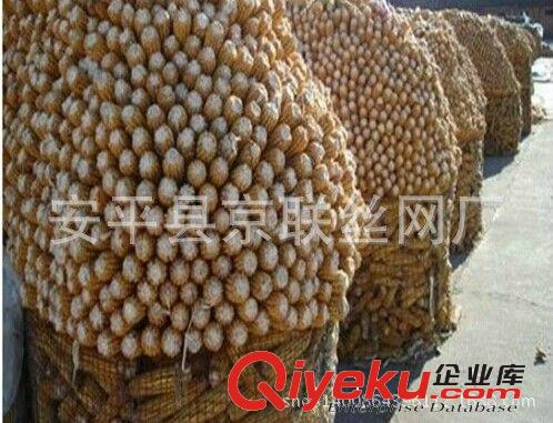 圈玉米網/秋季熱賣鐵絲網/京聯不易生銹 圈網
