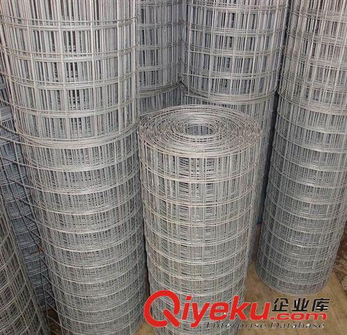 安平電焊網之家 國內大型電焊網生產廠家 全國銷售中原始圖片2